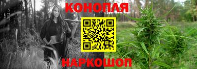 МДПВ Шелехов