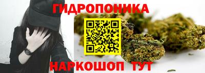 сатива Шебекино