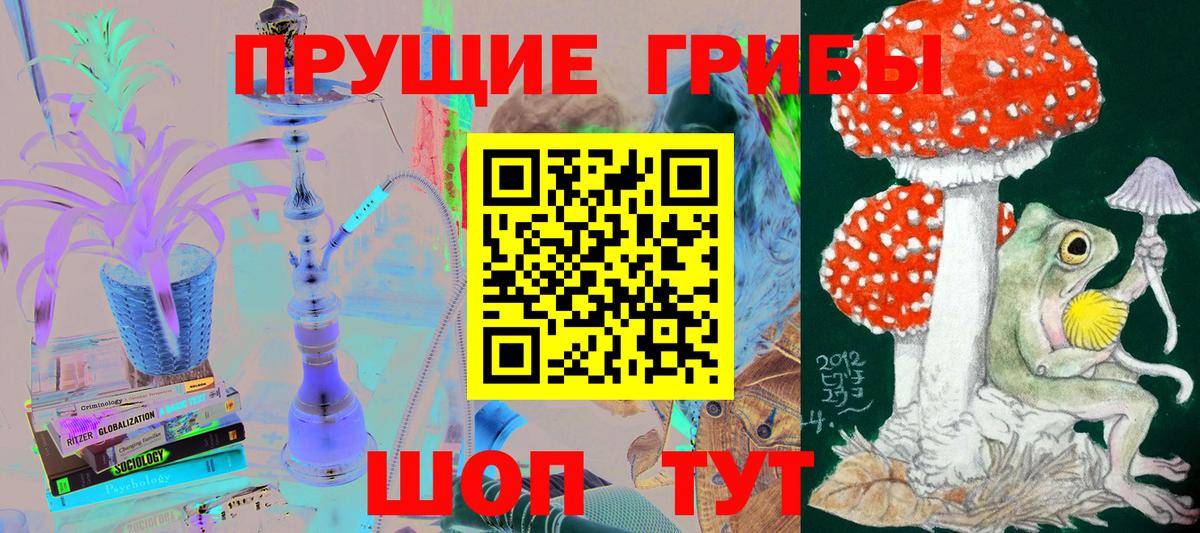 Псилоцибиновые грибы Psilocybe  дарнет шоп  Брянск  Вход с VPN  Галлюциногенные грибы Magic Shrooms 